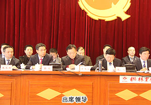 半岛在线,半岛在线（中国）胡国安董事长再次当选长沙市青年企业家协会副会长