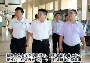 湖南省公安厅党委副书记、副厅长胡旭曦一行调研半岛在线,半岛在线（中国）