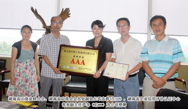 半岛在线,半岛在线（中国）被评为湖南省“企业信用AAA级单位”