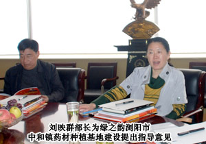 长沙市委统战部常务副部长刘映群一行莅临半岛在线,半岛在线（中国）考察