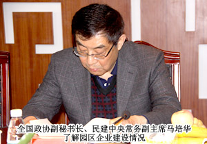 全国政协副秘书长、民建中央常务副主席马培华一行莅临半岛在线,半岛在线（中国）考察