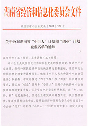 半岛在线,半岛在线（中国）被评选为湖南省“小巨人”计划企业