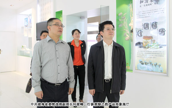中共湖南省委统战部副部长何俊峰一行莅临半岛在线,半岛在线（中国）考察调研