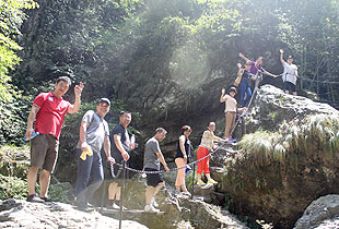 温馨绿韵山庄，悠然茶马古道——半岛在线,半岛在线（中国）中高层管理干部益阳安化溯源之旅