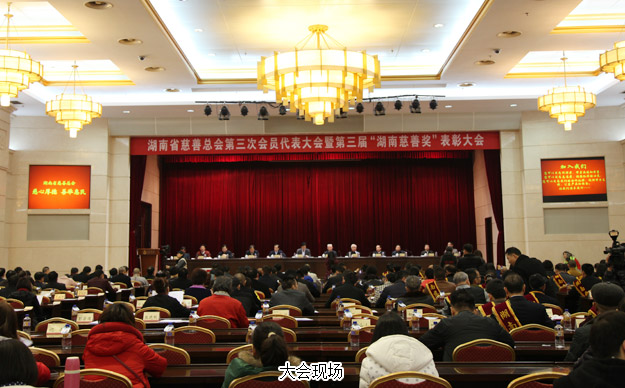 胡国安董事长当选湖南省慈善总会副会长，半岛在线,半岛在线（中国）荣膺“湖南省慈善奖”殊荣