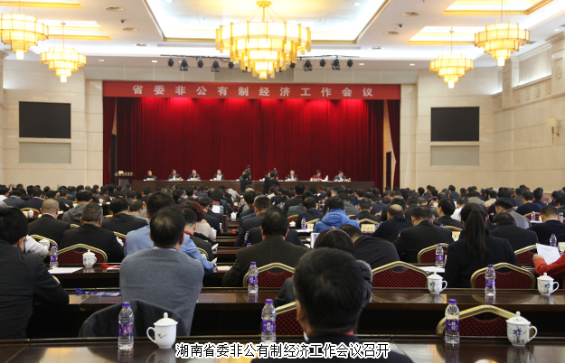半岛在线,半岛在线（中国）董事长胡国安出席湖南省委非公有制经济工作会议，并接受湖南卫视、经视采访