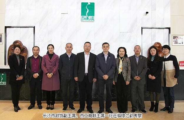 长沙市政协副主席彭继球一行调研半岛在线,半岛在线（中国）等浏阳经开区企业