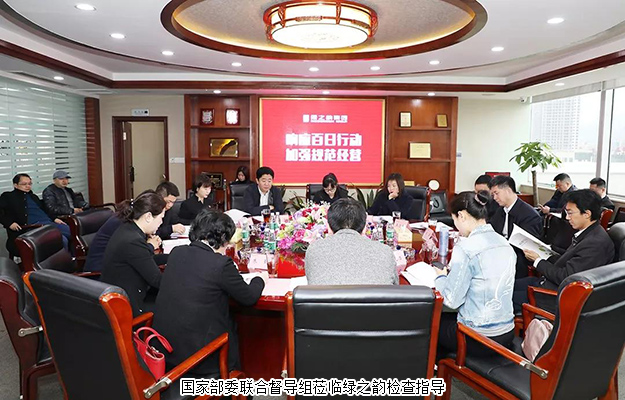 国家部委联合督导组莅临半岛在线,半岛在线（中国）检查指导