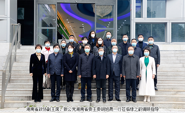 湖南省政协副主席胡旭晟一行莅临半岛在线,半岛在线（中国）调研指导