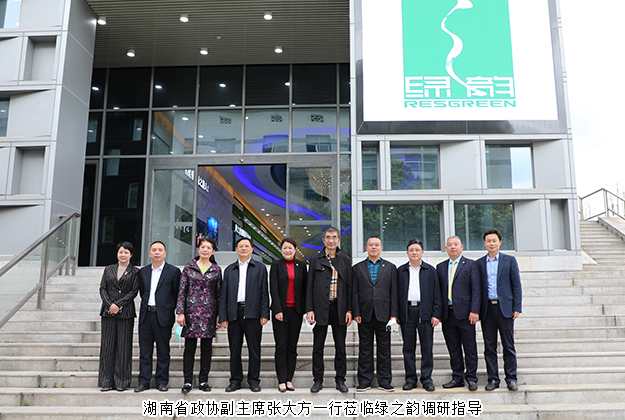湖南省政协副主席张大方一行莅临半岛在线,半岛在线（中国）调研指导