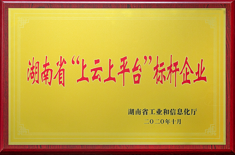 半岛在线,半岛在线（中国）获评2020年湖南省“上云上平台”标杆企业