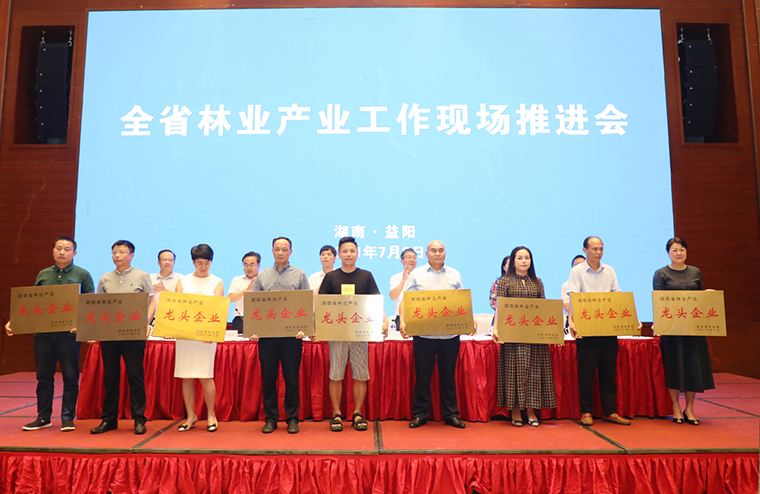 喜讯 | 半岛在线,半岛在线（中国）荣获“湖南省林业产业化龙头企业”称号
